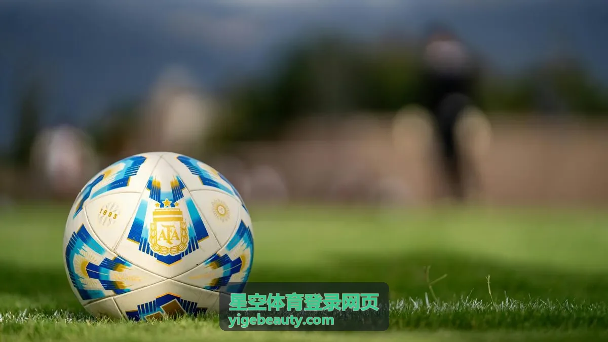 星空体育登录网页电脑端登录入口操作场景